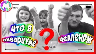 Что в аквариуме Челлендж / САМЫЕ ПРОТИВНЫЕ ВЕЩИ / WHAT'S IN THE AQUARIUM CHALLENGE // Вместе с Машей