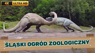 ZOO Śląski Ogród Zoologiczny w Chorzowie