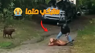 هذا الفيديو الذي ابكي العالم كله ||رجل يهاجم الفهد بسيف لإنقاذ كلبه|| اتحداك سوف تبكي حتما