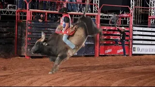 Douglas Henrique vs touro príncipe Cia Gianotti Festa do peão de boiadeiro de Bragança Paulista 🐂