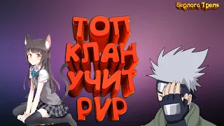 Топ клан учит пвп! PvP-гайд. Perfect World MmoСlassic