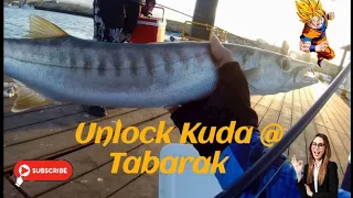Unlock Barracuda Fish @ Tabarak