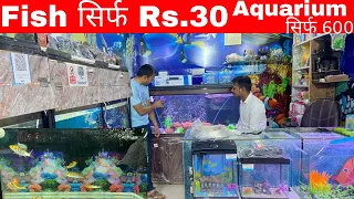 Fish Shop Mohali | All Fish Available Mohali | Fish Aquarium Shop | Fish 30 रूपये | Mohali Pet Vlogs