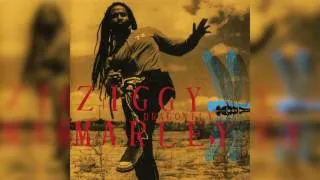 Shalom Salaam - Ziggy Marley | DRAGONFLY