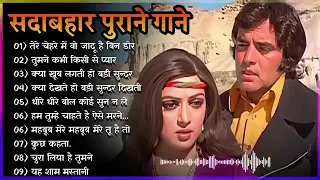 Hindi Sadabahar Song