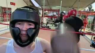 Sparring at the Gym