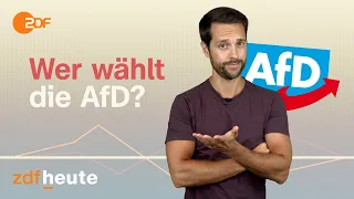 AfD – wer wählt sie? | Politbarometer2go