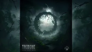 TRIBONE - Can Not Die Remixes [Full Album]