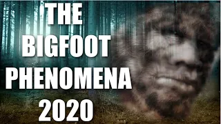 NEW BIGFOOT UPDATE WITH 401 FILES & MOUNTAIN BEAST MYSTERIES | CRYPTOZOOLOGY