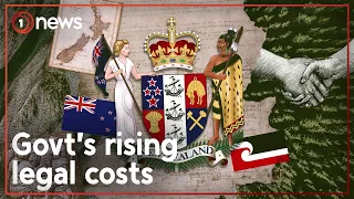 Govt spends nearly $1M defending 'anti-Māori' policies | 1News