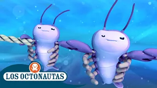 Los Octonautas - La increíble tormenta submarina 🌪️ | Episodios Completos