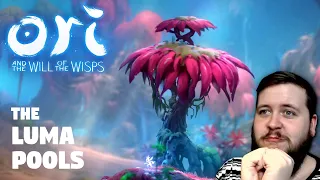 The Luma Pools - Ori and the Will of the Wisps - Episode 11