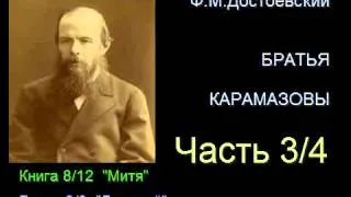 " Братья Карамазовы " - Часть 3/4 - Книга 8/12 - Глава 2/8