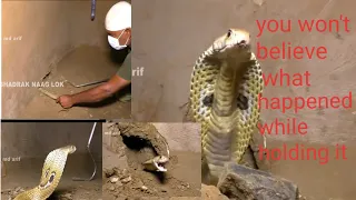 Insane Snake Hunting: 50+ Snake Day, Beautiful Mud Snakes and More .مجنون صيد الثعابين . 瘋狂的蛇狩獵