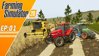 Farming Simulator 20 - PRIMEIRA COLHEITA NOVA SÉRIE #01