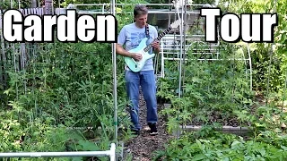 Perennial Fruit Tour (trees, berries, grapes) & Patrick Plays Guitar