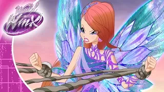 Winx Club - Winx Dünyası - 12.bölüm - Vecchi amici e nuovi nemici (kilp)