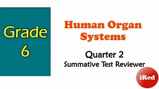 Grade 6 Science Reviewer | Quarter 2 Summative Test Reviewer | Human Organ Systems