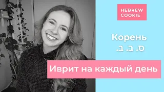 Иврит на каждый день. Корень .ס.ב.ב