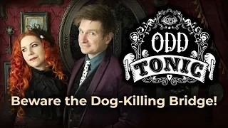 Odd Tonic | Ep 8 - The Baffling Bridge of Dog Doom