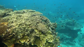 Australia to spend $379M on Great Barrier Reef