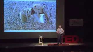 Sweat: Fluid of the Future | Zachary Sonner | TEDxUCincinnati