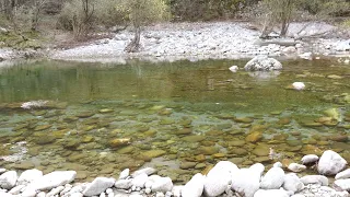 Riverside Reflections on Emerald River in 4K - Let the Calm Waters Heal your Soul