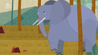 Carnival of the Animals - The Elephant