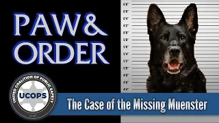 Paw & Order: The Case of the Missing Muenster