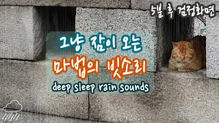 그냥 잠이 오는 신비한 마법의 빗소리 - 명상 힐링ASMR 5분 후 블랙화면