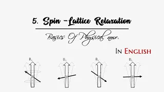 5. Spin Lattice Relaxation | Basics of Physical NMR | SSN