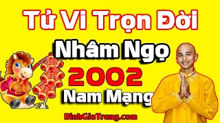 Tử vi trọn đời 2002 nam mạng: Cuộc sống thăng trầm - Xem tử vi trọn đời tuổi Nhâm Ngọ