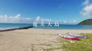 【空撮】朝仁海岸、奄美大島（4K）