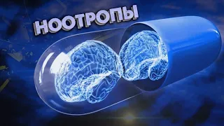 Как прокочать свой мозг? Помогают ли ноотропы? [Стрим Ежи Сармата и Владимира Алипова]