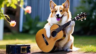 (No Vid Ads) 1 Hour Guitar Playlist - Vol.3