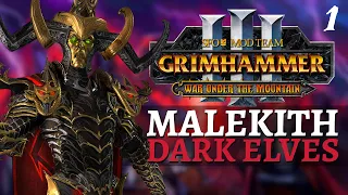 MISERY FOR ALL | SFO Immortal Empires - Total War: Warhammer 3 - Dark Elves - Malekith #1