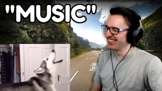 STREAM PICKS THE MUSIC