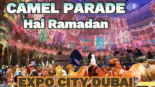 Camel Parade Expo City Dubai |Hai Ramadan | Hag Al Laila | Ramadan Night Market