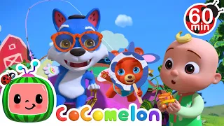 Hey Diddle Diddle | | CoComelon Animal Time | Animal Nursery Rhymes