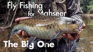 Fly Fishing Mahseer in Thailand - The Big One (Full Trip Video)