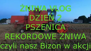 Żniwa VLOG dzień 2# REKORDOWE ŻNIWA, Pszenica, BIZON, 2X NEW HOLLAND