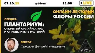 Лекция Дмитрия Орешкина "Плантариум: открытый онлайн атлас и определитель растений" (Флоры России)