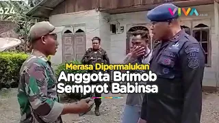 Tak Terima Dipermalukan, Brimob dan Babinsa Adu Mulut