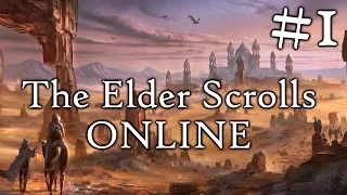 Immersive Let's Play - The Elder Scrolls Online - Episode 1 : So Many Questions