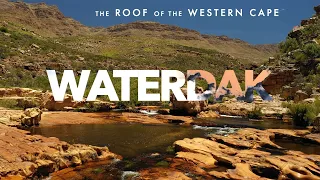 Waterdak | Fish, flow and farming on the roof of the Western Cape