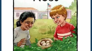 The Bird's Nest - by Jessica Malordy || Kids Book Read Aloud