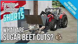 Farm Sim Shorts #5 - How To Make Sugar Beet Cuts - Farming Simulator 22