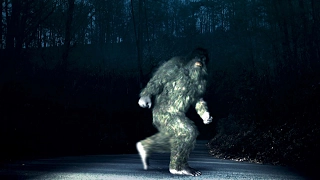 Finding Bigfoot прохождение ϟ БОЛЬШАЯ ОХОТА НА СНЕЖНОГО ЧЕЛОВЕКА #1