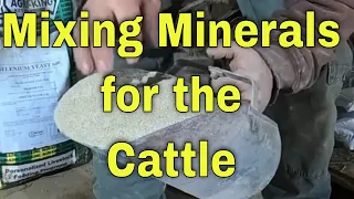 Mixing minerals for your cattle and forage talk.