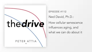 #112 – Ned David, Ph.D.: How cellular senescence influences aging, and what we can do about it